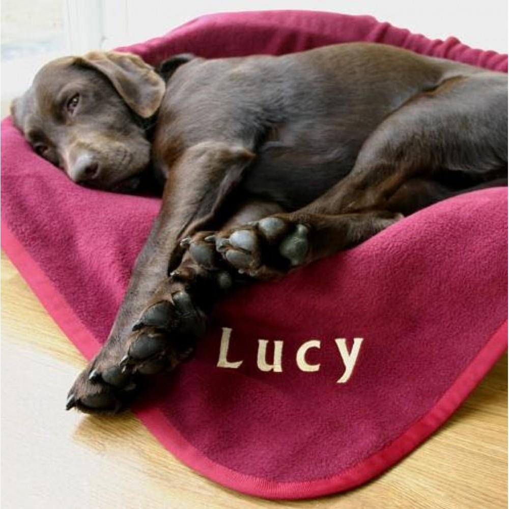 Personalised Dog Blanket